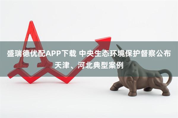 盛瑞德优配APP下载 中央生态环境保护督察公布天津、河北典型案例