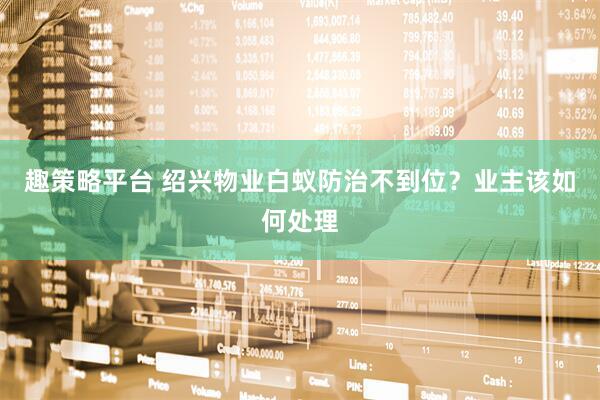 趣策略平台 绍兴物业白蚁防治不到位？业主该如何处理